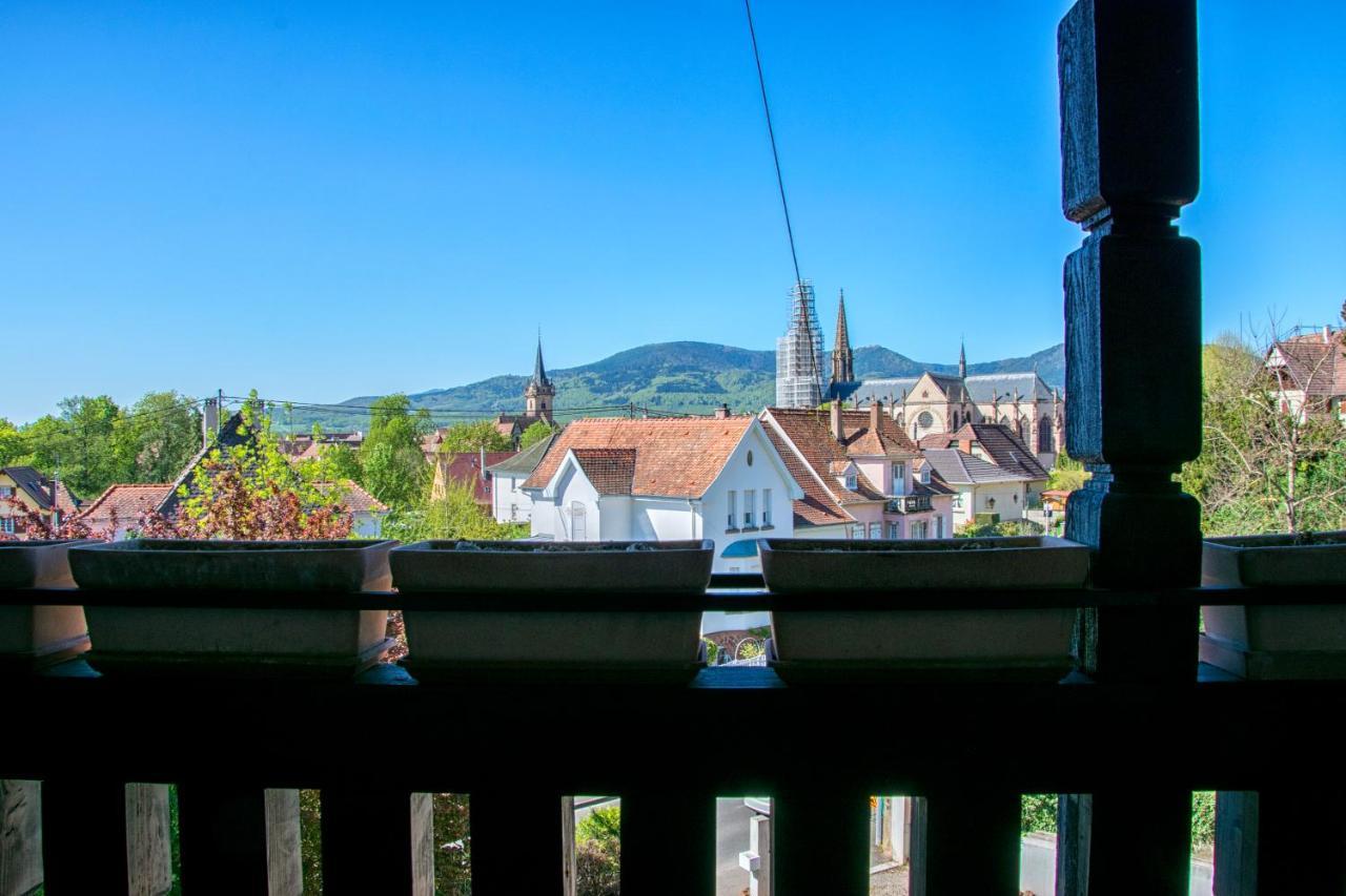 La Villa Du Coteau Obernai Dış mekan fotoğraf