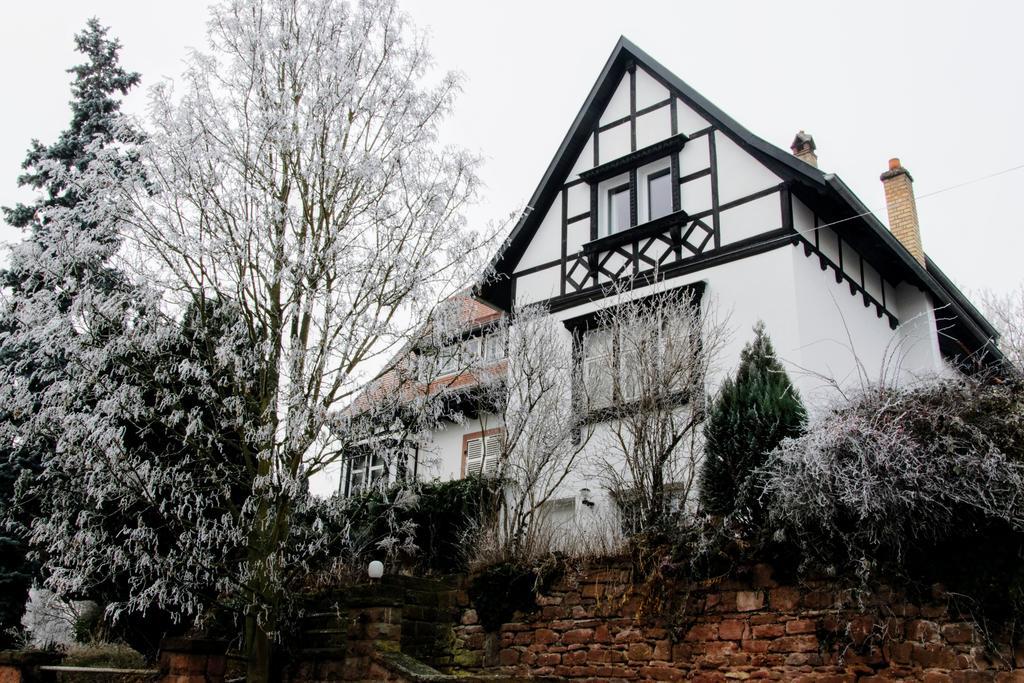 La Villa Du Coteau Obernai Dış mekan fotoğraf